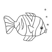 Draw a fish - step 4